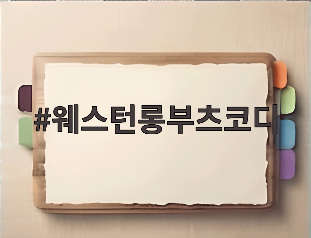 웨스턴롱부츠코디