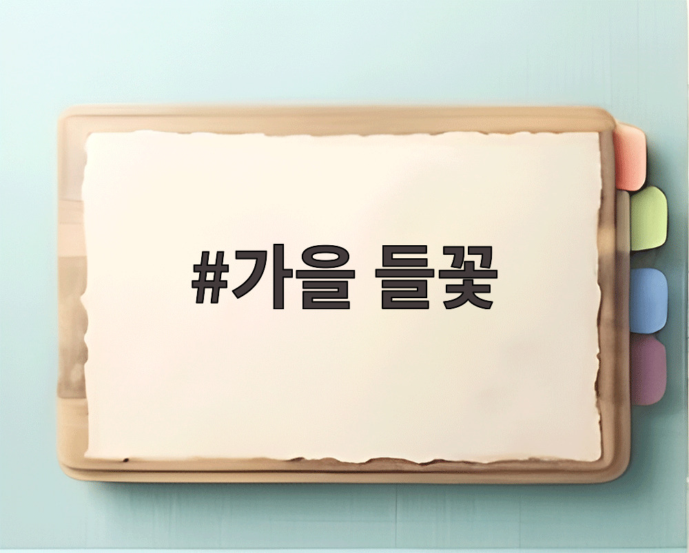 가을 들꽃