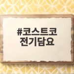 코스트코 전기담요