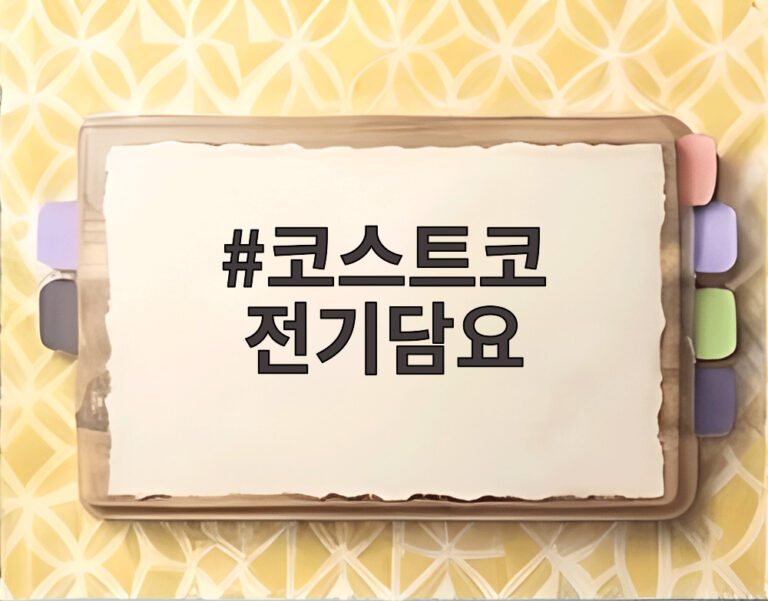 코스트코 전기담요