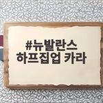 뉴발란스 하프집업 카라
