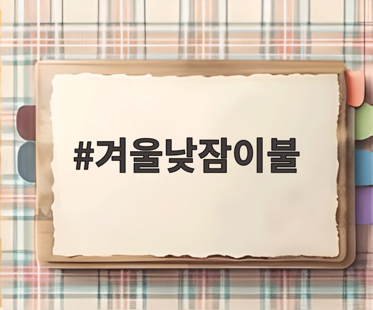 겨울낮잠이불