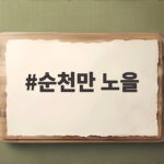 순천만 노을을 가장 아름답게 보는 시간과 명당 자리 총정리 순천만 노을