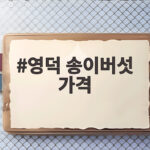 영덕 송이버섯 가격 2026 시세와 장터에서 직접 고르는 방법 영덕 송이버섯 가격