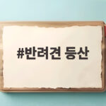 반려견 등산