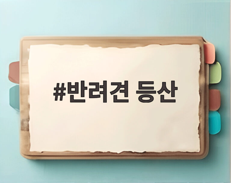 반려견 등산