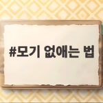 모기 없애는 법 계절이 바뀌어도 실내 모기 걱정 끝내는 생활 습관 모기 없애는 법