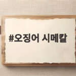 오징어 시메칼 하나로 무늬오징어 선도 지키는 법 오징어 시메칼