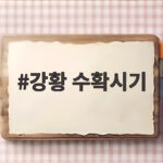 강황 수확시기 잎이 누렇게 변할 때와 첫서리 전에 캐는 것이 좋아요 강황 수확시기