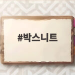 박스니트