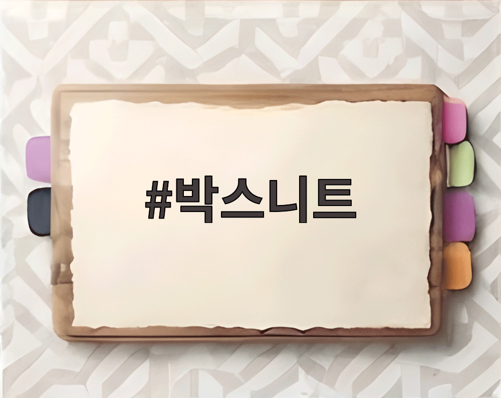 박스니트