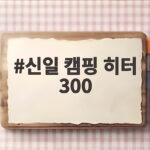 신일 캠핑 히터 300