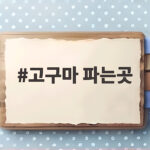 고구마 파는곳 품종별 맛 차이 알고 사면 실패 없는 선택이에요 고구마 파는곳