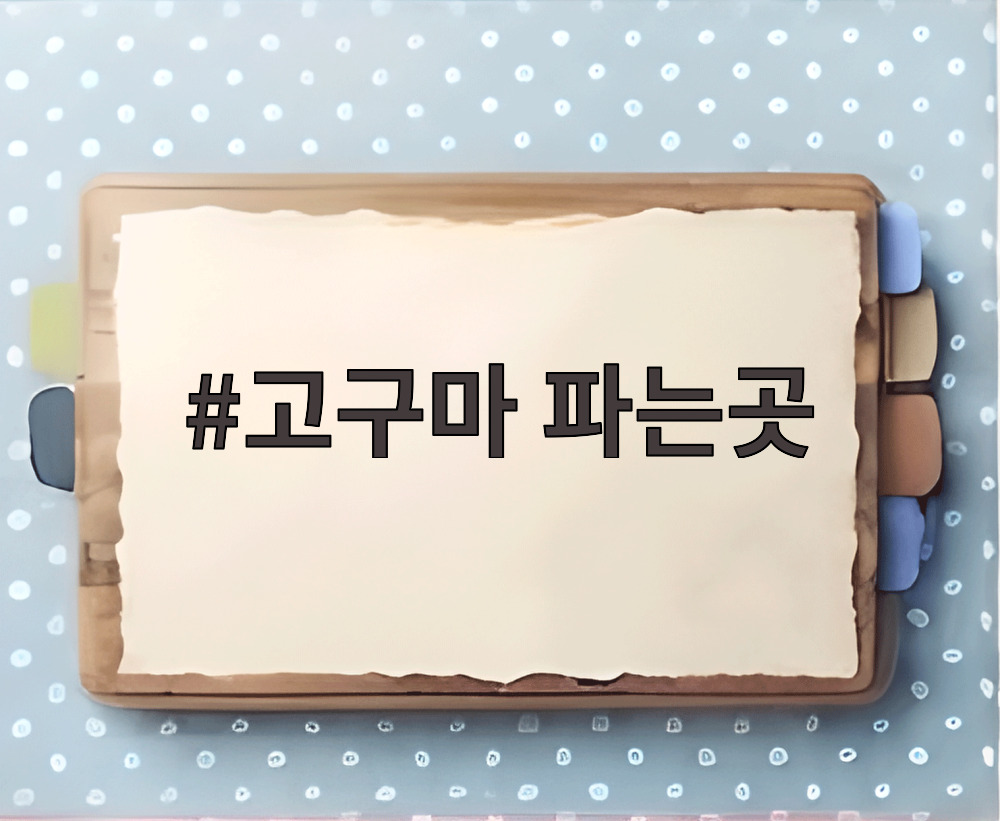 고구마 파는곳
