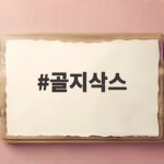 골지삭스 하나로 달라지는 하루 데일리 양말 고르는 법 골지삭스