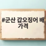군산 갑오징어 배 가격