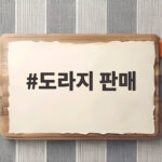 도라지 판매