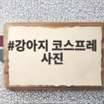 강아지 코스프레 사진