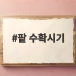 팥 수확시기 언제일까 갈색 꼬투리 80퍼센트가 답입니다 팥 수확시기