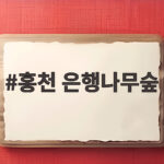 홍천 은행나무숲