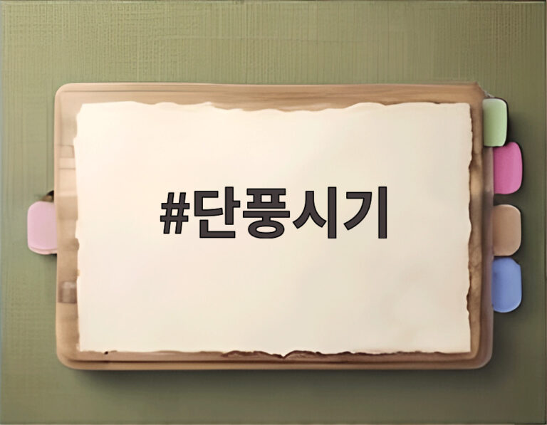 단풍시기