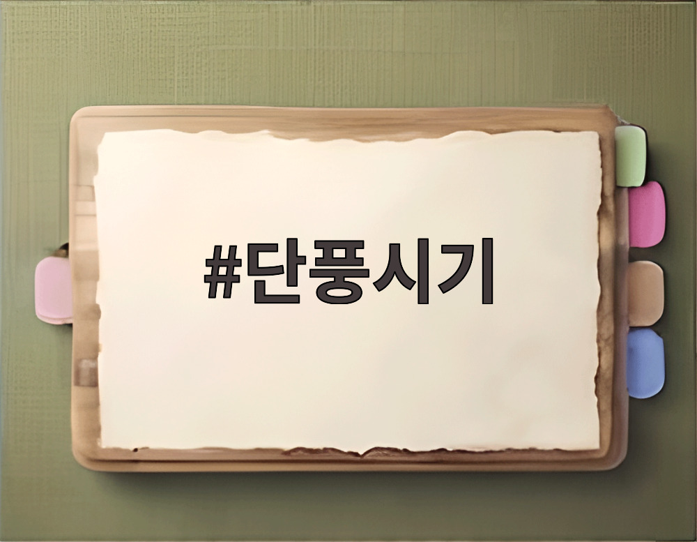 단풍시기