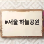 서울 하늘공원 가을 꽃무릇과 억새를 하루에 즐기는 방법 서울 하늘공원
