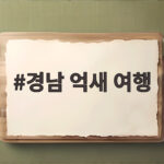 경남 억새 여행