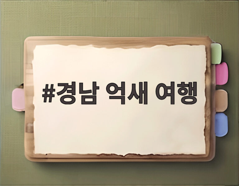 경남 억새 여행