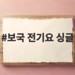 보국 전기요 싱글