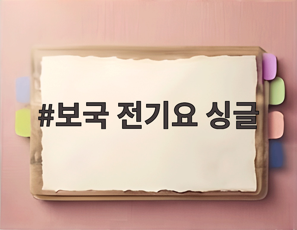 보국 전기요 싱글
