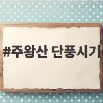주왕산 단풍시기 2026년 절정 언제 놓치지 않을까 주왕산 단풍시기