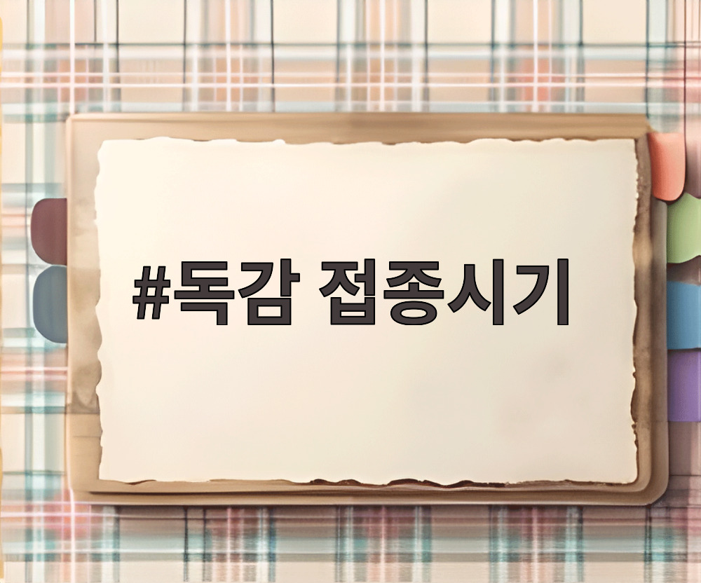독감 접종시기