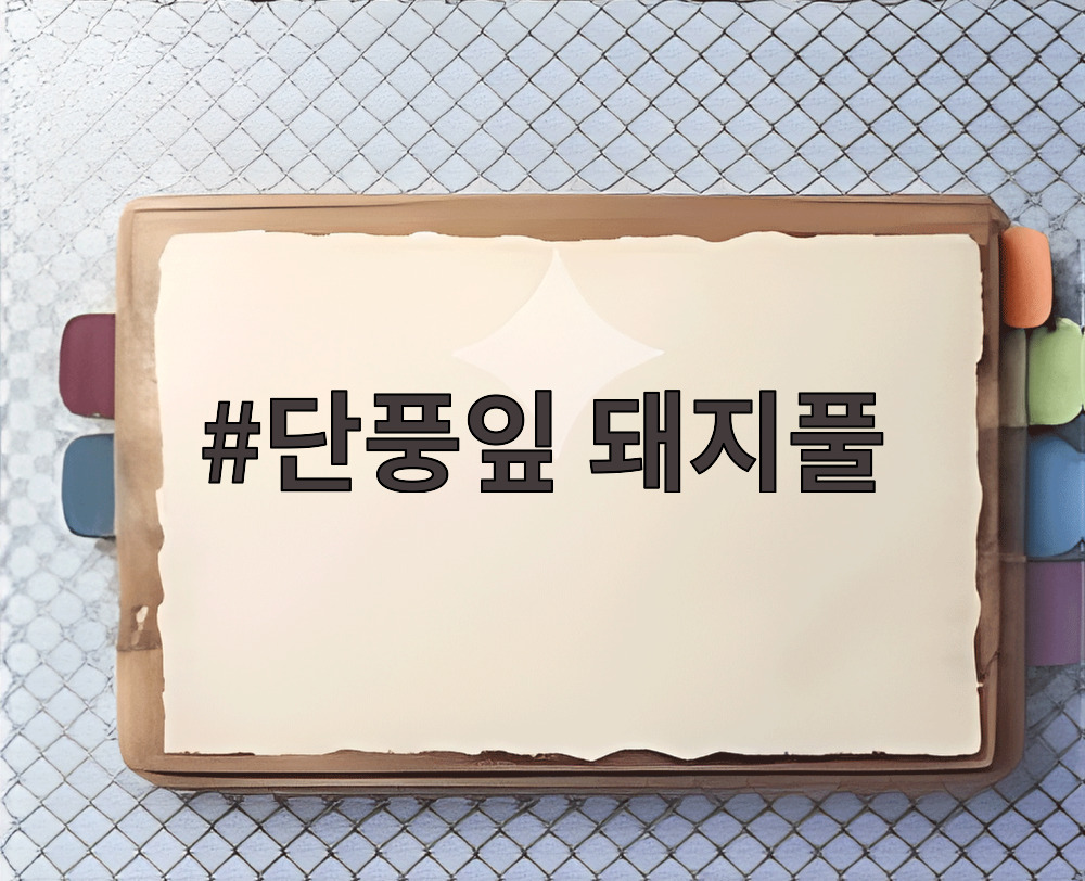 단풍잎 돼지풀