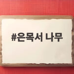 은목서 나무 가을 향기의 주인공 개화시기와 화분 키우기 방법 은목서 나무