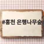 홍천 은행나무숲