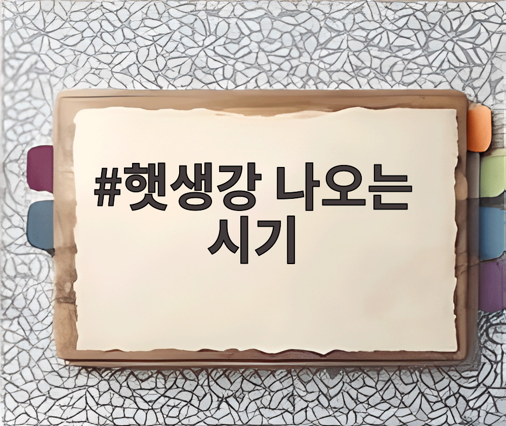 햇생강 나오는 시기