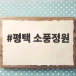 평택 소풍정원 무료 나들이 언제 가야 낮과 야경 모두 볼까 평택 소풍정원