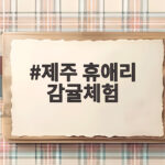 제주 휴애리 감귤체험