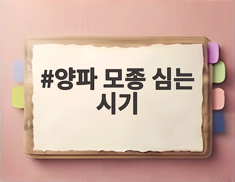 양파 모종 심는 시기