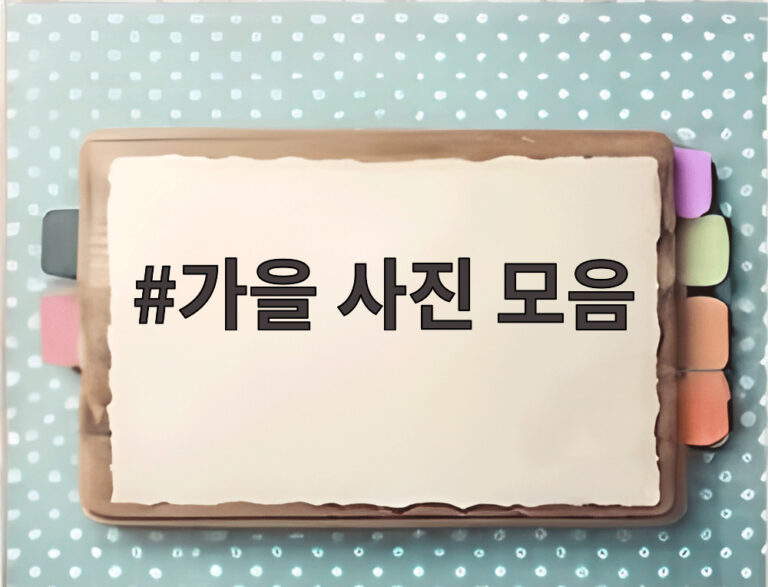 가을 사진 모음