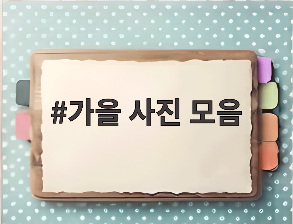 가을 사진 모음