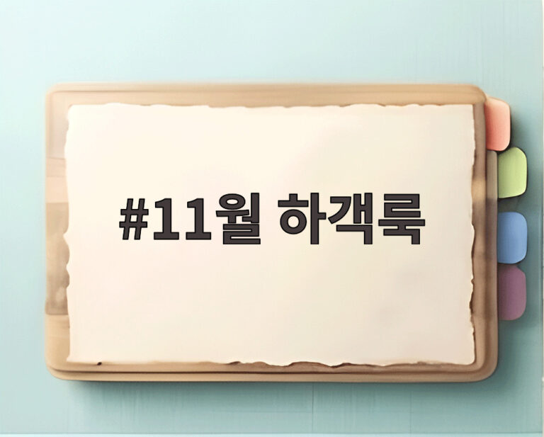 11월 하객룩