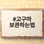 고구마 보관하는법