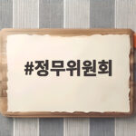 정무위원회 의원 명단부터 국정감사 이슈까지 한번에 살펴보기 정무위원회