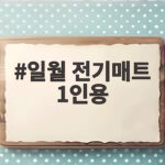 일월 전기매트 1인용 싱글 어떤 걸 골라야 할까 일월 전기매트 1인용