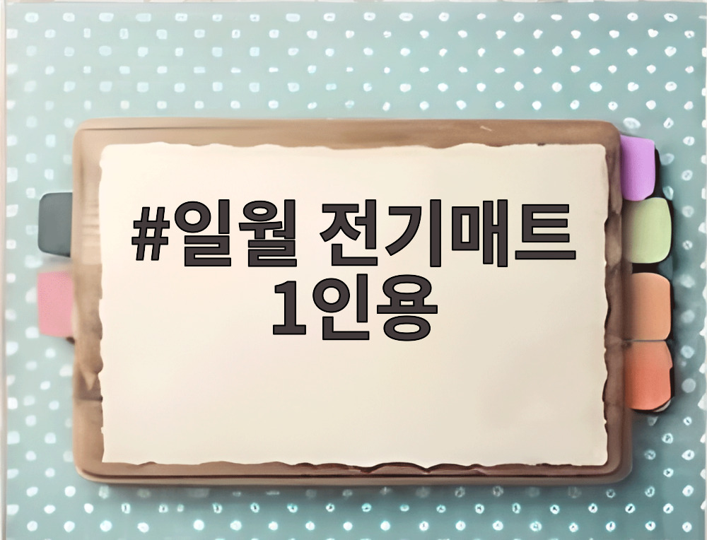 일월 전기매트 1인용