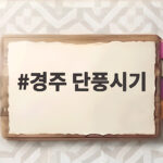 경주 단풍시기 11월 초중순 절정 명소와 일정 추천 경주 단풍시기