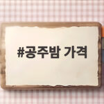 공주밤 가격
