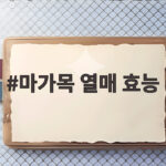 마가목 열매 효능